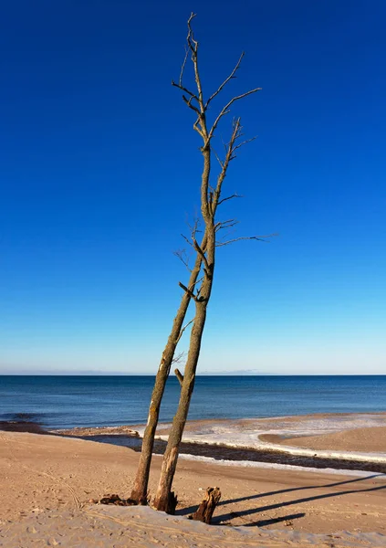 Pobřeží Baltského moře. — Stock fotografie