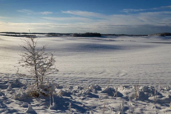 Zimowe krajobrazy krajobraz. — Zdjęcie stockowe