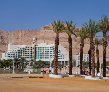 Dead sea beach için göster.