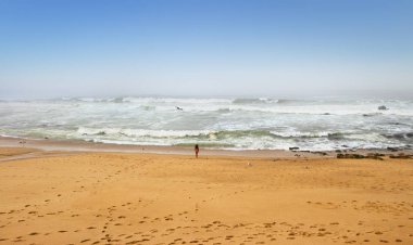 okyanus kıyısında.