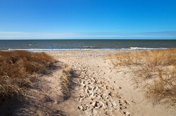 Duny u Baltského moře. — Stock fotografie