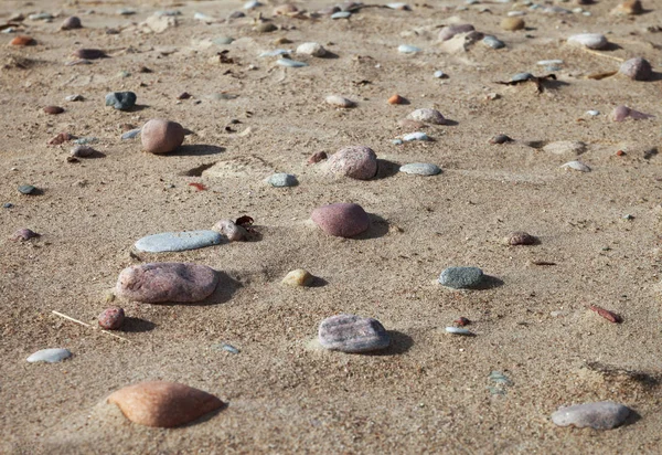 Spiaggia di pietra del Mar Baltico . — Foto Stock