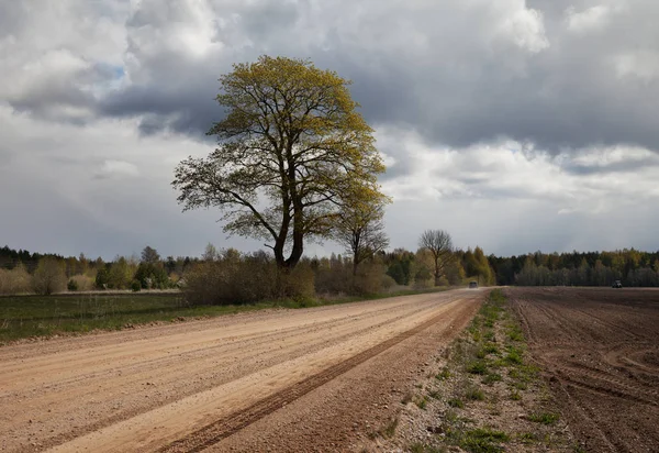 Textura štěrkové cestě. — Stock fotografie