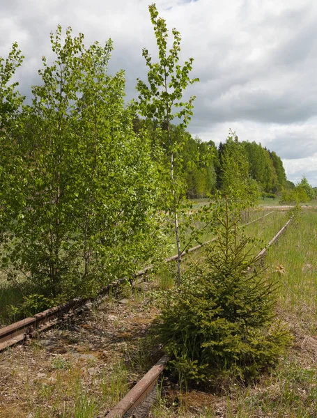 Terk edilmiş tren yolu. — Stok fotoğraf