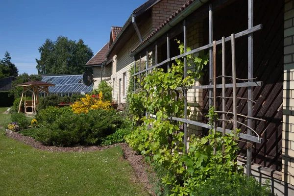 Chalet rural et jardin . — Photo