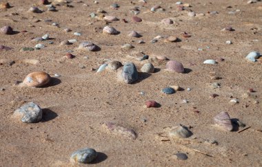 Kum ve taşlı kıyı şeridi.
