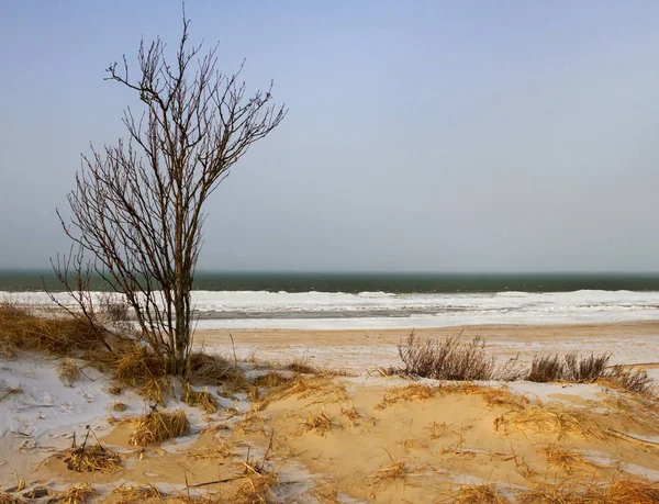 Dune à la mer . — Photo