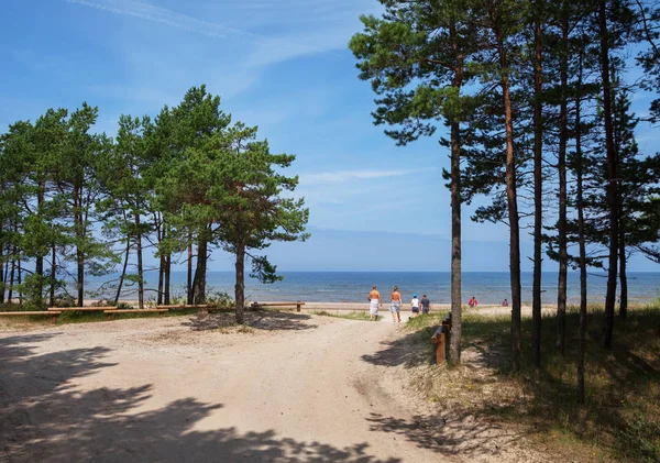 Blick auf das Meer. — Stockfoto