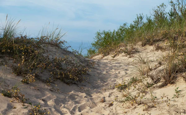 Vue sur le littoral marin . — Photo