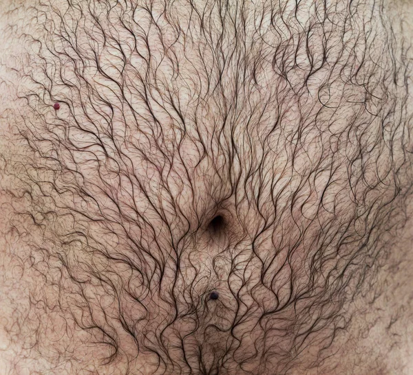 Belly of a man with hair. — Stock Photo, Image