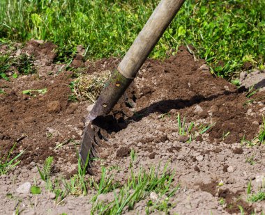 bir bahçede çalışmak.