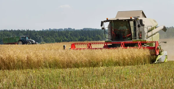 Big combine is working on a field. — Stock Photo, Image