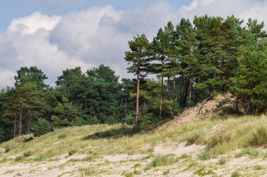 Baltık Denizi Dunes.