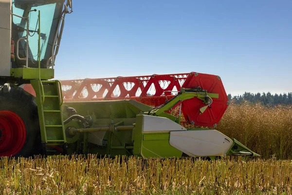 Grande combinação em canola . — Fotografia de Stock