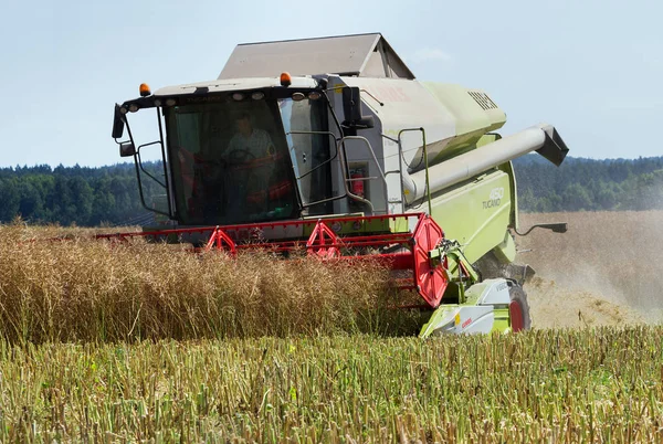 Grande combinação em canola . — Fotografia de Stock