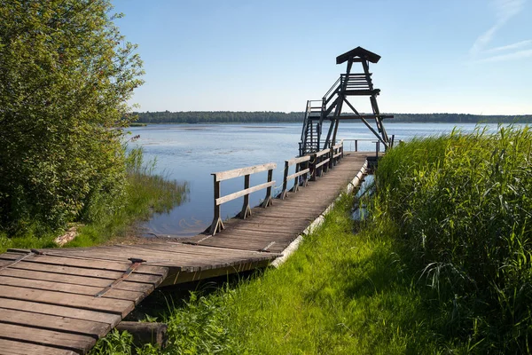 Marsh lake with tower. — Stock Photo, Image
