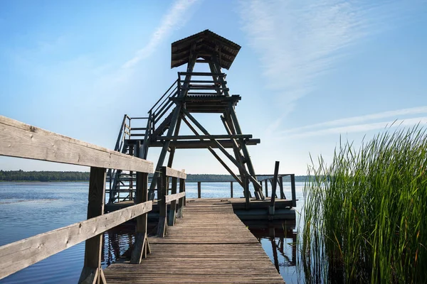 Marsh lake with tower. — Stock Photo, Image