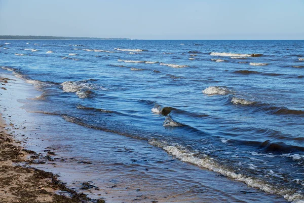 Baltic sea coastline. — Stock Photo, Image