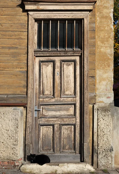 Old wooden house with cat. — Stock Photo, Image