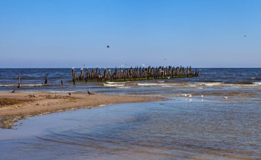 Köstebek Baltık Denizi üzerinde.
