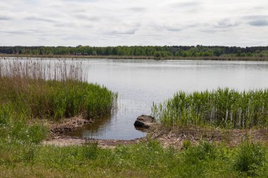 Nehir kıyı şeridi göster.