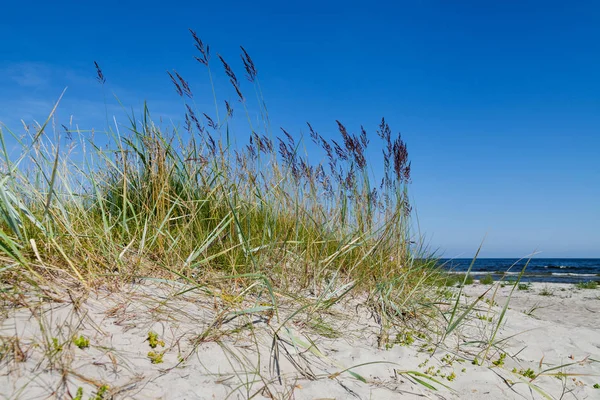 Östersjökusten. — Stockfoto