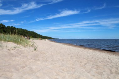 Baltık Denizi kıyısında.