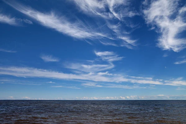 Brzeg Morza Bałtyckiego. — Zdjęcie stockowe
