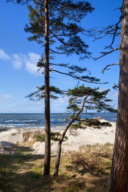 Letonya Baltık Denizi kıyısında.