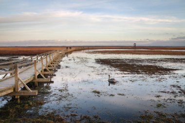 Kuş Gözlem Kulesi.