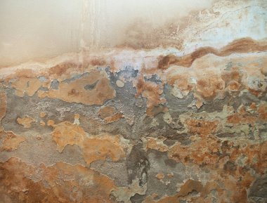 Mantar ile enfekte duvar.