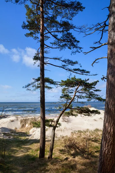 Baltic sea shore in Latvia. — Stock Photo, Image