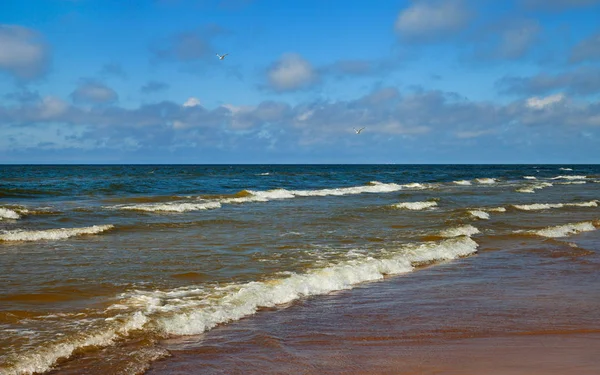 Blick auf die Ostsee. — Stockfoto