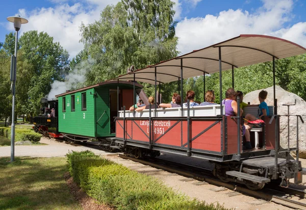 Bezichtiging op een kleine trein. — Stockfoto