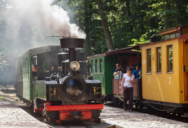 Bezichtiging op een kleine trein. — Stockfoto