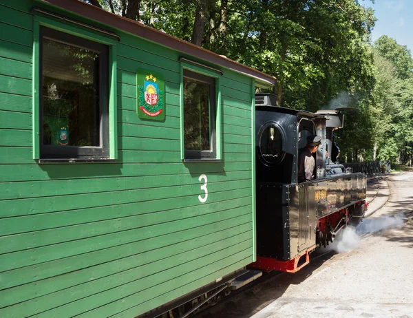 Bezichtiging op een kleine trein. — Stockfoto