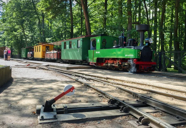 Bezichtiging op een kleine trein. — Stockfoto