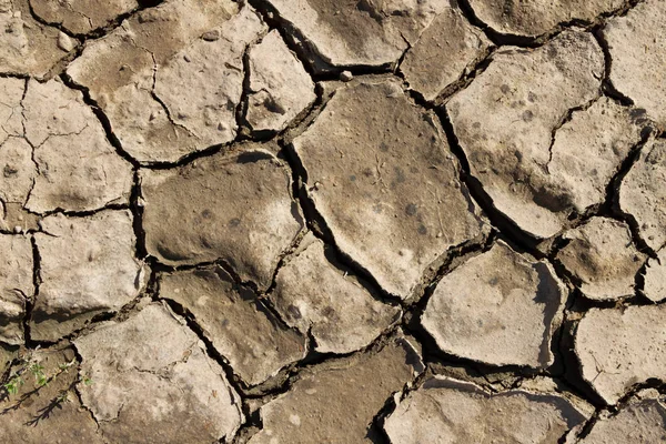 Terreno agrietado en un campo . —  Fotos de Stock