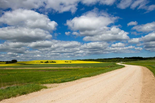 Krajina s venkovské silnici. — Stock fotografie