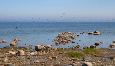 Baltık Denizi sahil şeridi.