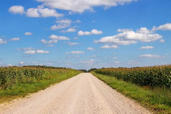 Route de campagne poussiéreuse . — Photo