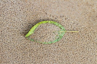 Düşen sonbahar yaprağı.