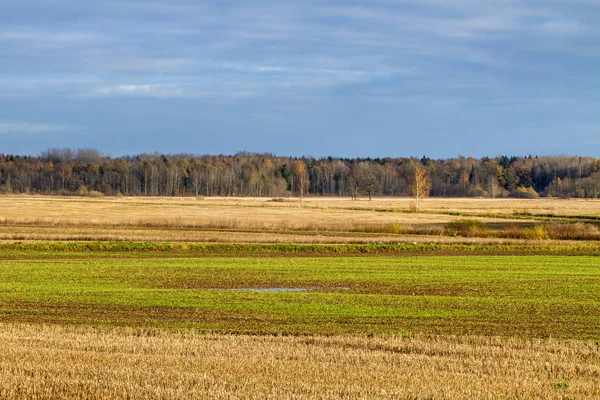 Přírodní podzimní pole. — Stock fotografie