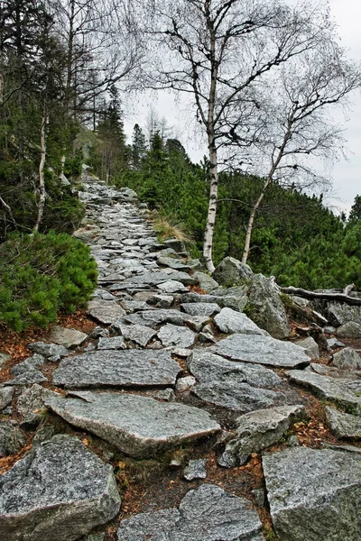 Visa till kullen. — Stockfoto