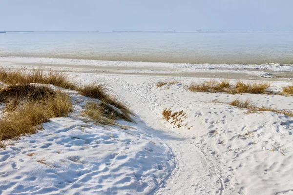バルト海の海岸に冬. — ストック写真