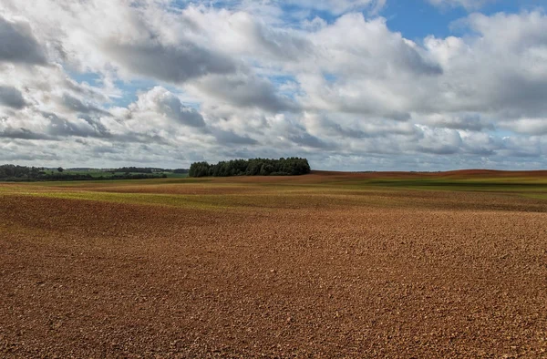 Terreno marrone di un campo . — Foto Stock