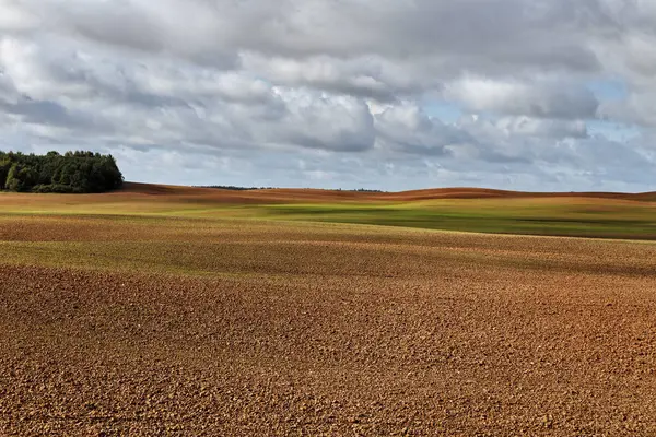 Terreno marrone di un campo . — Foto Stock