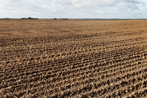 Brown soil of a field. — Stock Photo, Image