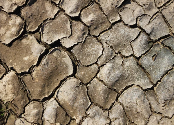 Terreno agrietado en un campo . —  Fotos de Stock