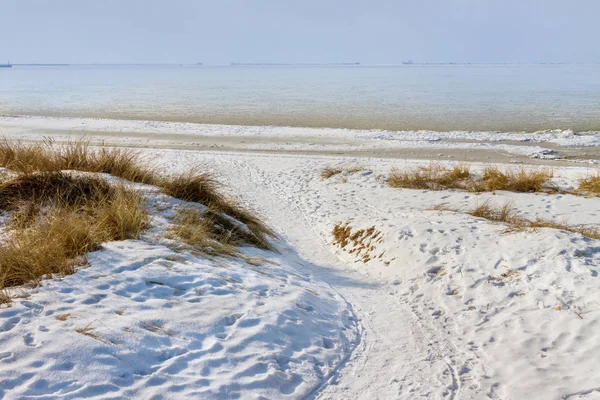 Winter on shore of the Baltic sea. Royalty Free Stock Photos